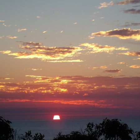 Appartamento Benji'S By The Sea Scotts Head Esterno foto
