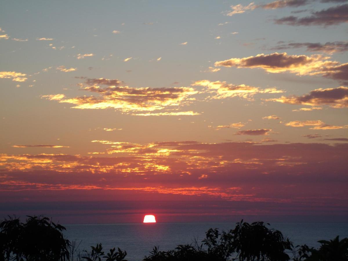 Appartamento Benji'S By The Sea Scotts Head Esterno foto