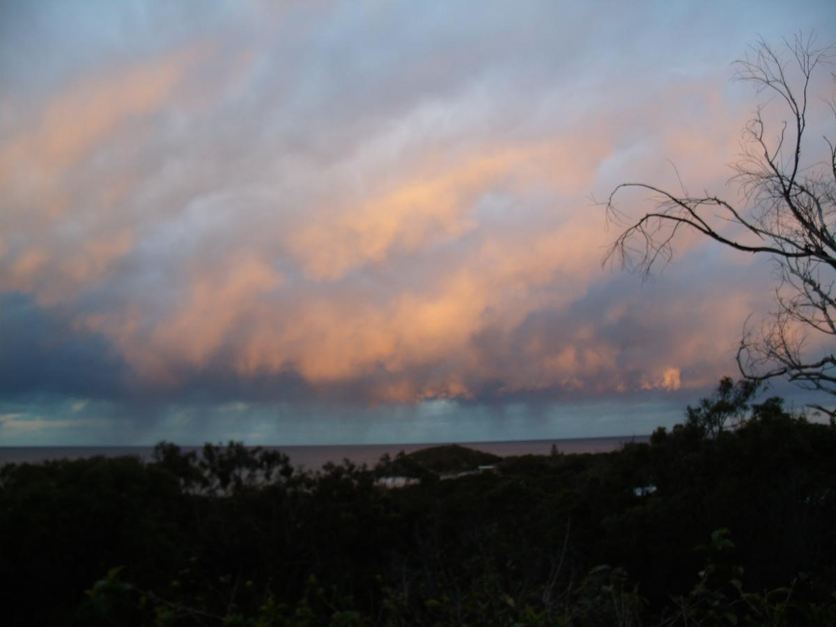 Appartamento Benji'S By The Sea Scotts Head Esterno foto